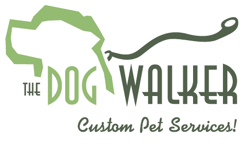 What Does Dogs Walker Miami Do?